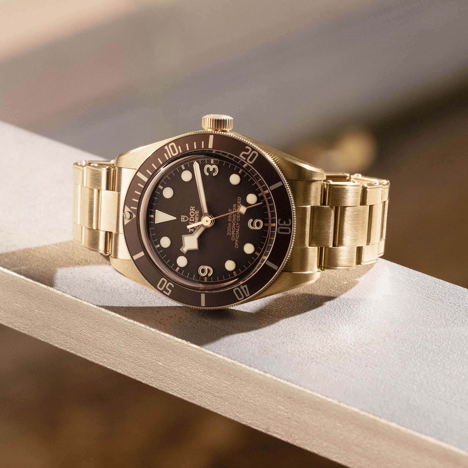 Bronze bay hotsell tudor