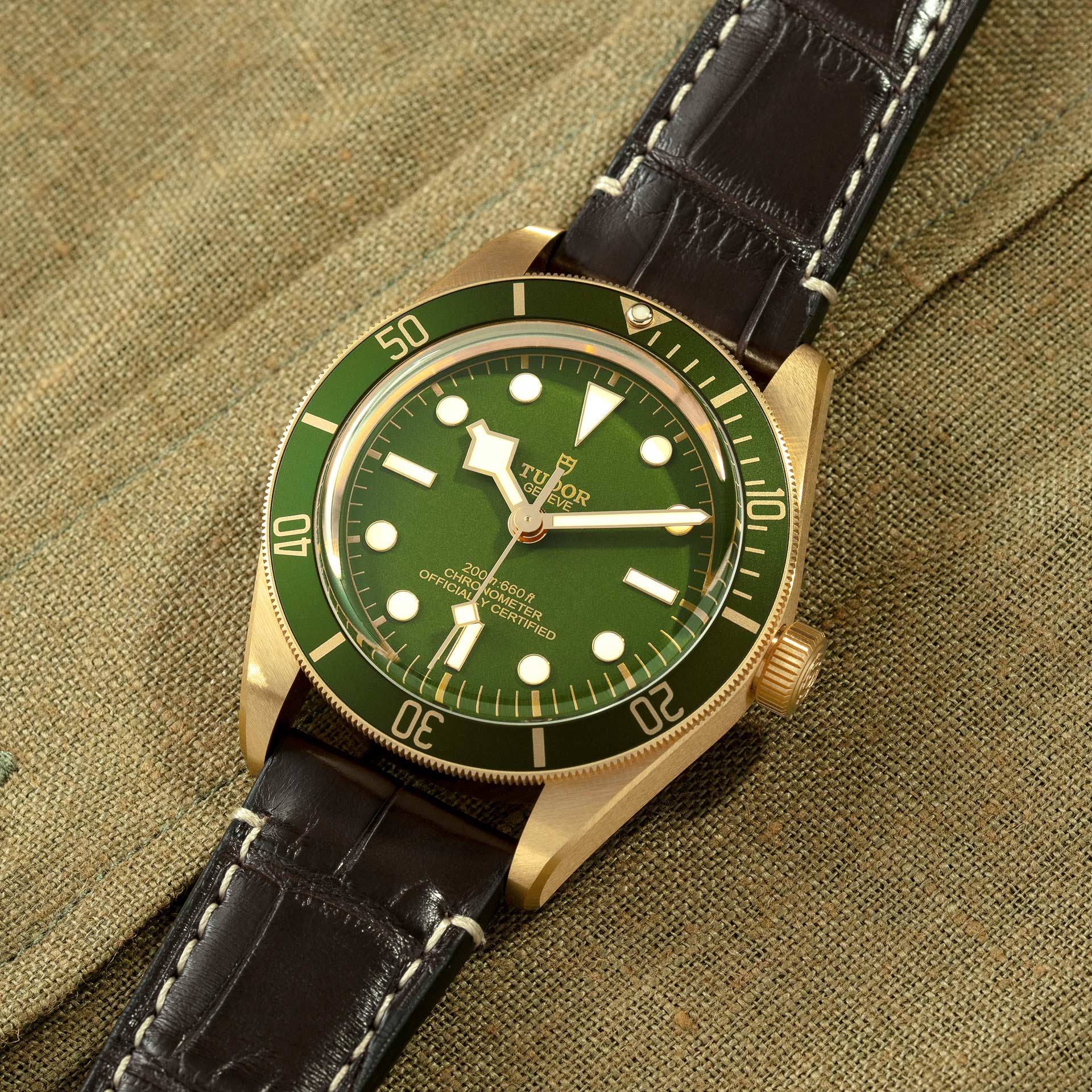 Tudor Black Bay Fifty-Eight 18K, 39mm, 18k Yellow Gold, Ref# M79018V-0001,  Dial