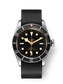 Tudor Black Bay, 41mm, Stainless Steel, Ref# M79230N-0005
