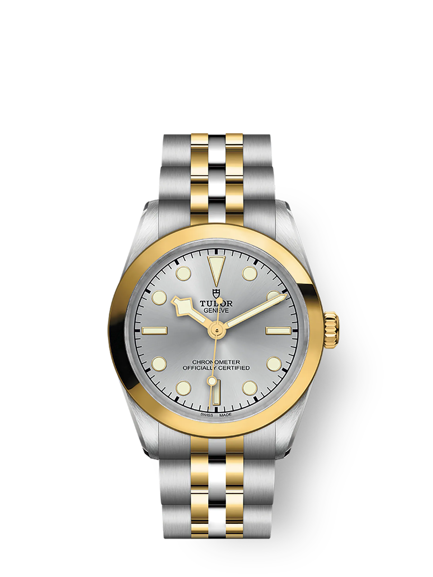 Tudor Black Bay 39 S&G, Stainless Steel and 18k Yellow Gold, Ref# M79663-0002