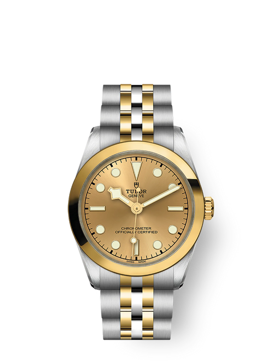 Tudor Black Bay 31 S&G, 316L Stainless Steel and 18k Yellow Gold, Ref# M79603-0005