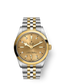 Tudor Black Bay 36 S&G, 316L Stainless Steel and 18k Yellow Gold, Ref# M79643-0008