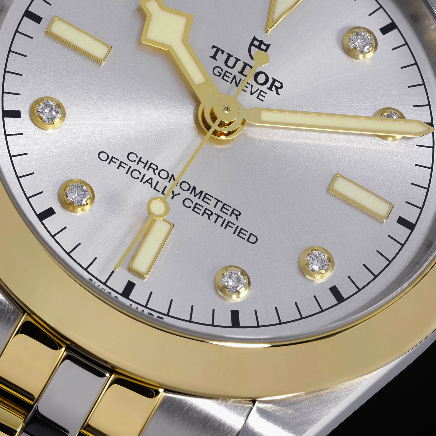 Tudor Black Bay 39 S&G, 316L Stainless Steel and 18k Yellow Gold, Ref# M79663-0007, Dial