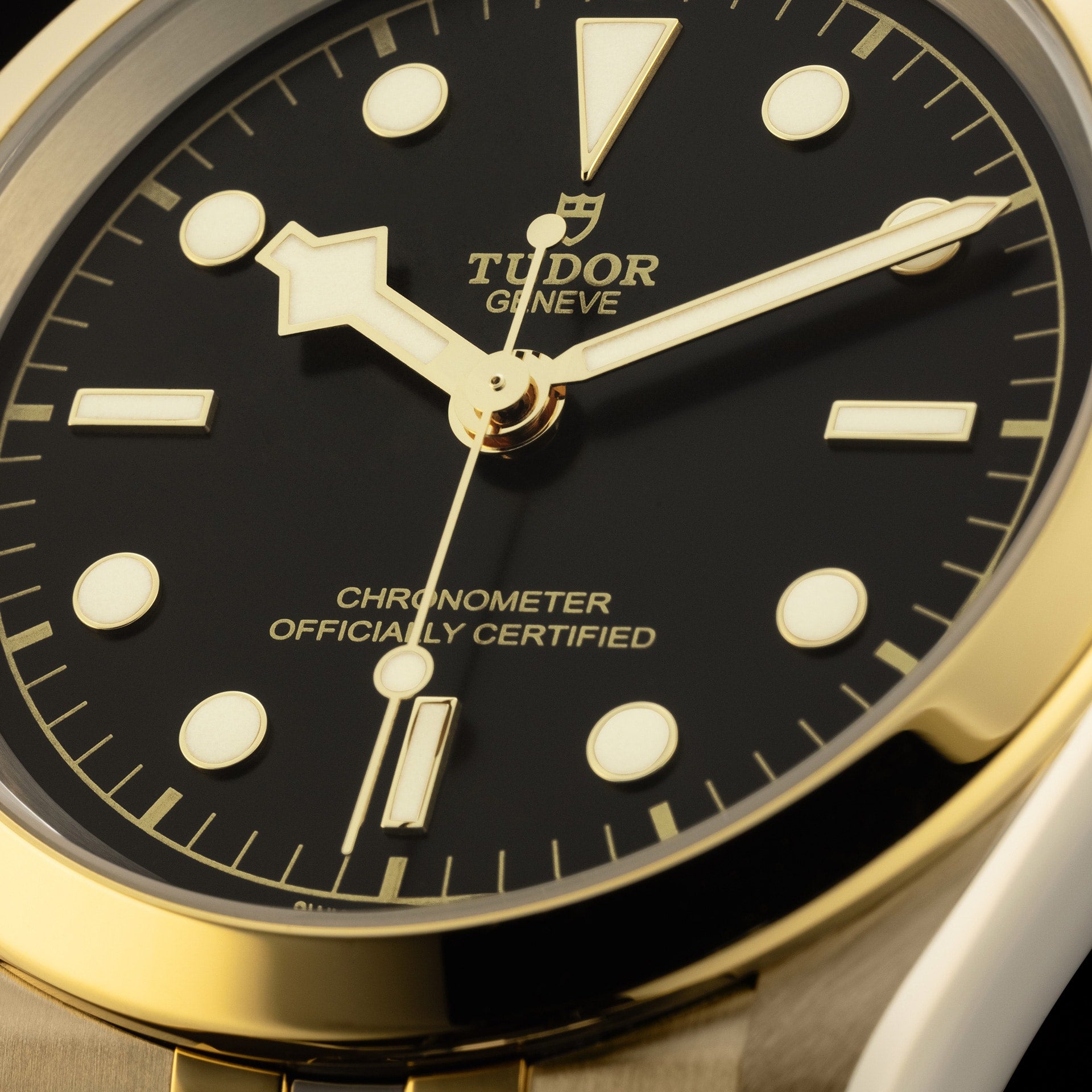 Tudor Black Bay 41 S&G, Stainless Steel and 18k Yellow Gold, Ref# M79683-0001, Dial