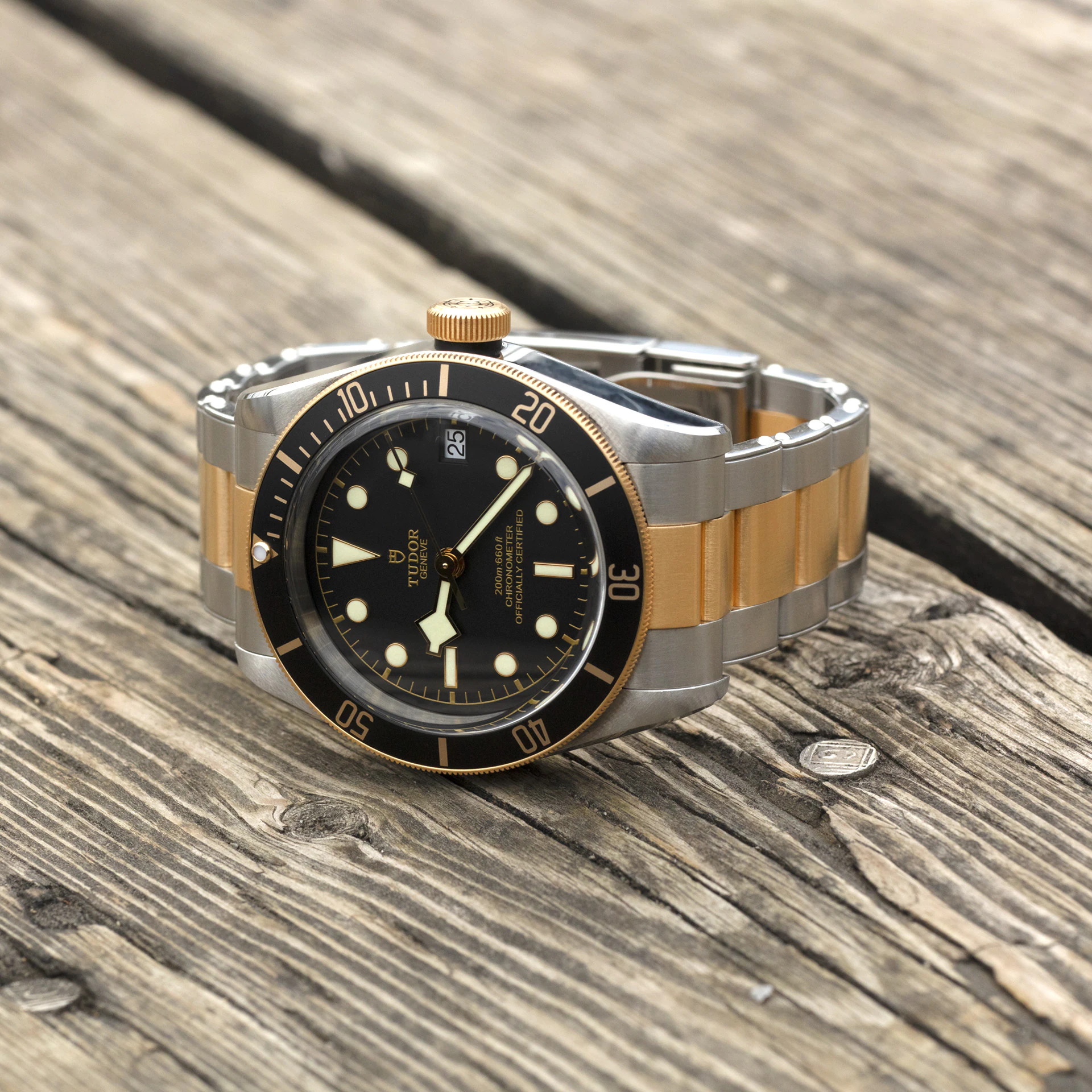 Tudor Black Bay S&G, 41mm, Stainless Steel and 18k Yellow Gold, Ref# M79733N-0008, Main view