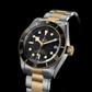 Tudor Black Bay S&G, 41mm, Stainless Steel and 18k Yellow Gold, Ref# M79733N-0008, Dial