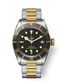 Tudor Black Bay S&G, 41mm, Stainless Steel and 18k Yellow Gold, Ref# M79733N-0008