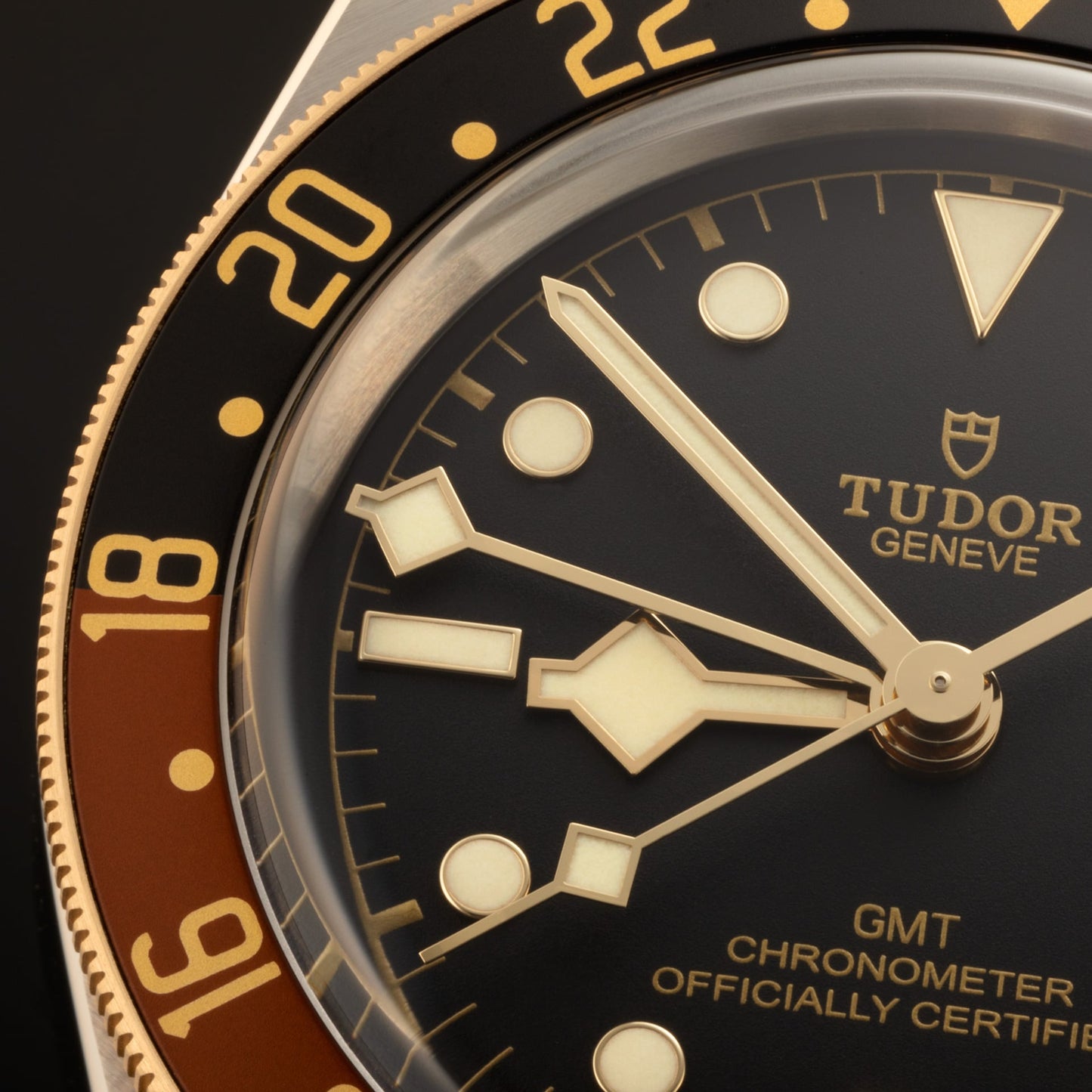 Tudor Black Bay GMT S&G, Stainless Steel and 18k Yellow Gold, 41mm, Ref# M79833MN-0001, Dial