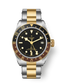 Tudor Black Bay GMT S&G, Stainless Steel and 18k Yellow Gold, 41mm, Ref# M79833MN-0001