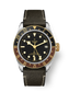 Tudor Black Bay GMT S&G, Stainless Steel and 18k Yellow Gold, 41mm, Ref# M79833MN-0003